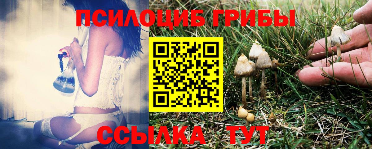 Псилоцибиновые грибы Cubensis  Вход с VPN  Балашиха 
